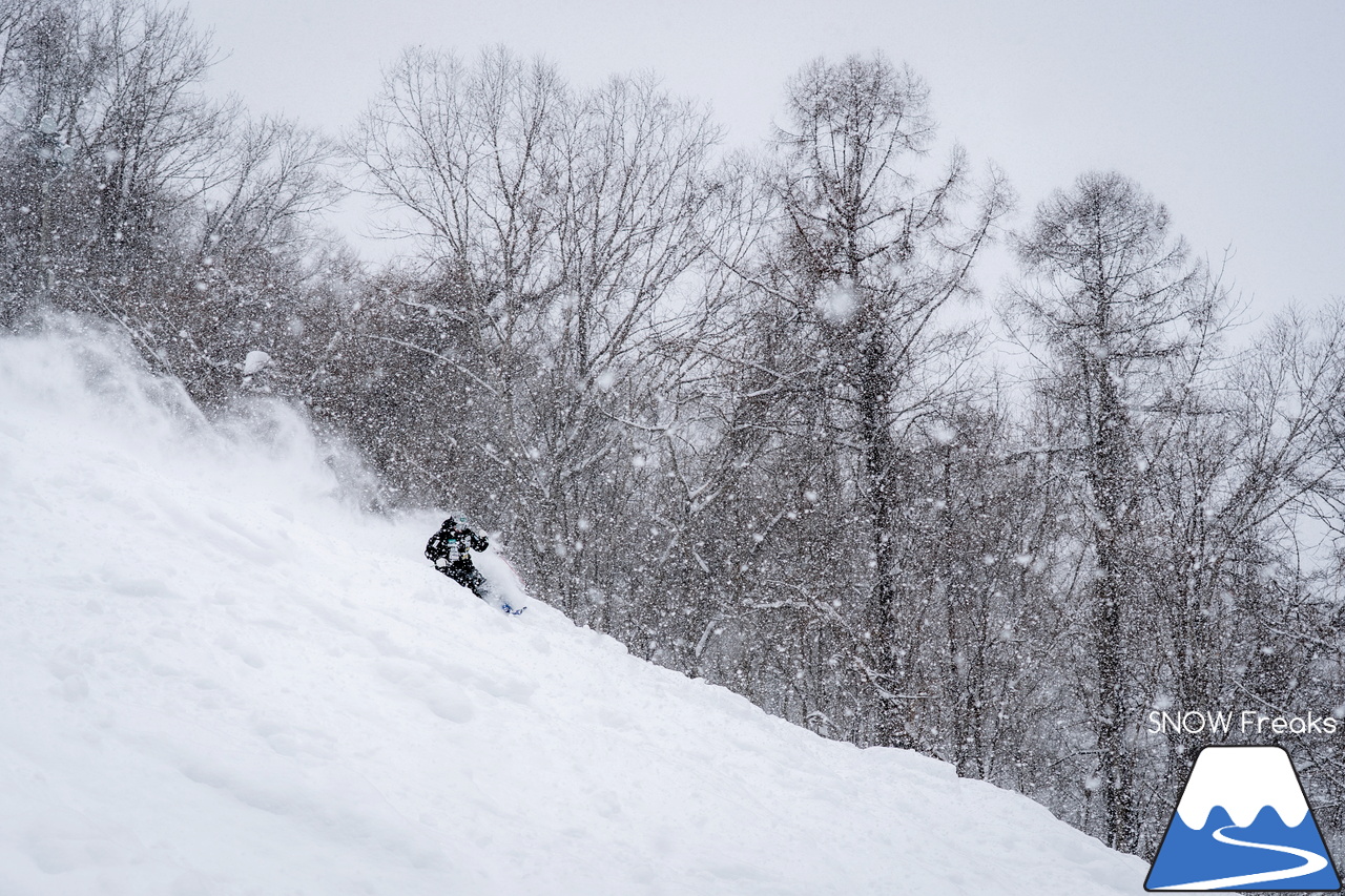 さっぽろばんけい ban.K｜祝・大雪到来！心優しきプロスキーヤー・井山敬介さんが、今シーズンNo.1の『BANKEI POWDER』を滑ります(^^)/